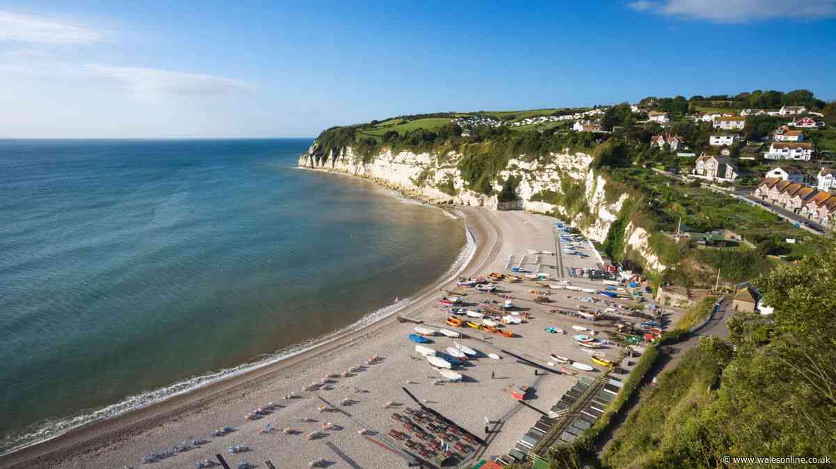 Seaside getaway on Devon's Italian Riviera 'one of loveliest holidays we've had'