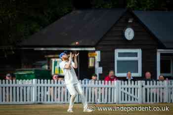 Row erupts in New Forest over cricket club’s ‘appalling’ plan to install artificial grass