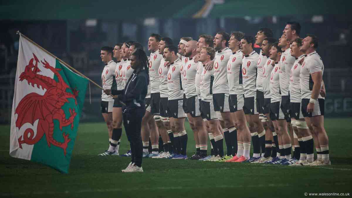 Shocking Welsh rugby evidence exposes the truth about what happens next