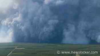 Franse brandweerlieden oog in oog met zeldzame vuurwolk: ’De brand creëert zijn eigen onweer’