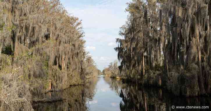Georgia's Okefenokee Swamp becomes newest U.S. site added UNESCO's World Heritage List