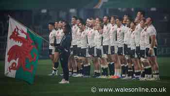 Shocking Welsh rugby evidence exposes the truth about what happens next