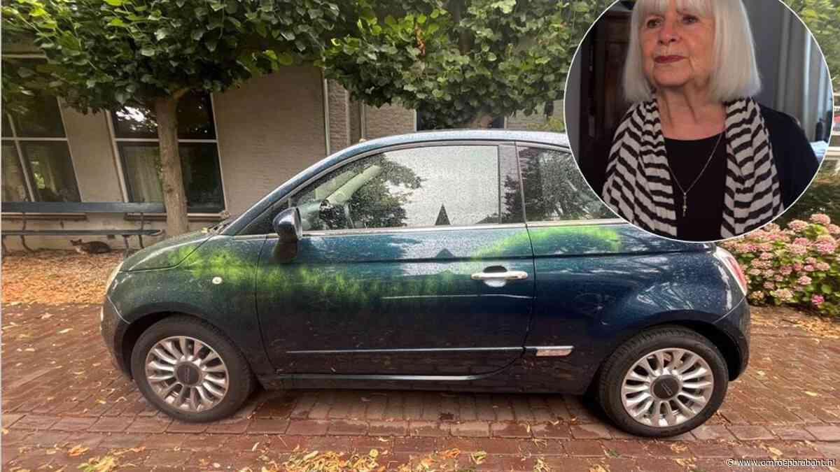 Auto van Ietje beklad terwijl ze niet voor azc is: 'Poster hangt bij buren'