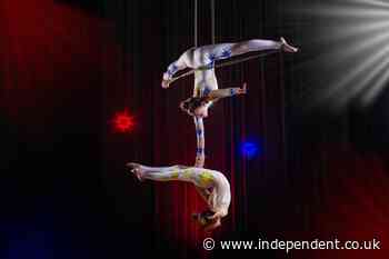 Circus performer ‘incredibly lucky’ to be alive after being accidentally shot in neck