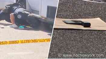 Meat cleaver weaponized in apparent NYC road rage fight; suspect at large