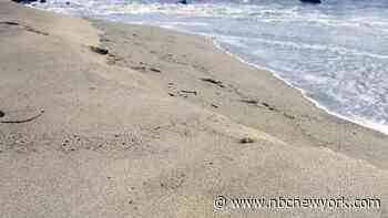 MAP: See beach alerts for NYC, Long Island
