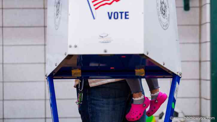 ‘Serious software error' leads to 400 non-citizens voting in New Jersey, Sherrill said