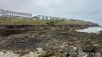 Dad and daughter die at Fistral Beach as police appeal for help tracing handbag