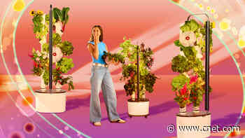 Fed Up With Lettuce Recalls, I Started Growing Greens in This Smart Garden