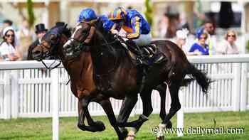 The master and the apprentice meet AGAIN in highly-anticipated Goodwood showdown as veteran Trawlerman hunts for revenge over upstart Scandinavia