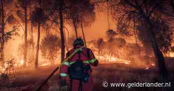 ‘Nieuwe generatie bosbrand’ laat brandweer machteloos: ‘Tegen een 50 meter hoge muur van vlammen doe je niets’