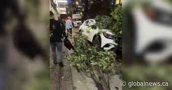 Driver fined $2,000 for wild 2024 crash in downtown Vancouver