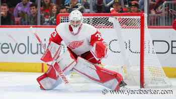 The eight worst draft picks of the Yzerman era