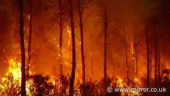 France wildfires live: Bordeaux threatened by 'fire of the century' that has 'life of its own'