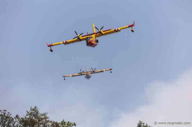 Incendies dans le Var : connaissez-vous l’origine des noms des Canadair Pélican, Dash Milan et Super Puma qui dominent les flammes ?