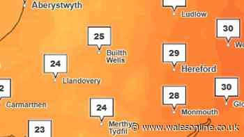 Met Office heatwave verdict this week as temperatures to hit 28 degrees again