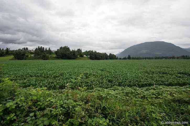 B.C. begins 6-week engagement on ALR changes for food processing