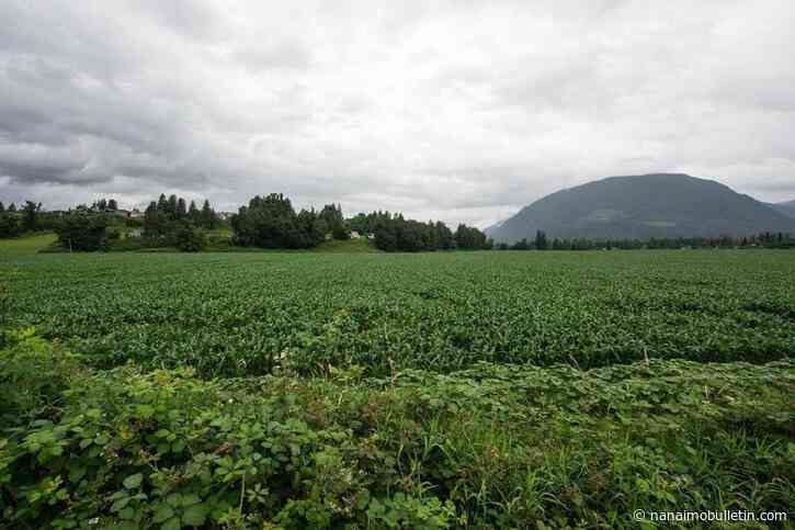 B.C. begins 6-week engagement on ALR changes for food processing