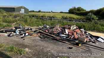 North East company director convicted of fly-tipping asked council 'how do I make this go away?'