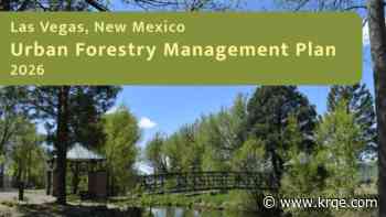 Las Vegas, New Mexico deploys green tech to harness post-fire floodwaters