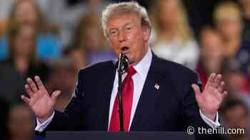 Trump sounds communism alarm in Michigan but doesn't mention El-Sayed