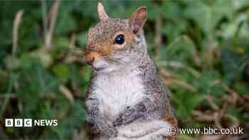 Your photos: Sunshine brings out the wildlife