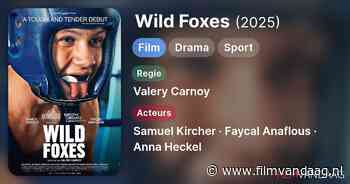 Wild Foxes (2025, IMDb: 6.7)