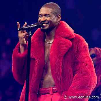 Usher Halts Steamy Onstage Routine After Awkward Moment With Fan