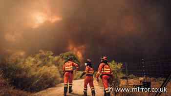 Emmanuel Macron says France wildfires are nation's biggest crisis since Second World War
