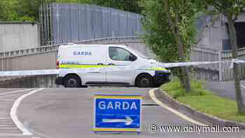 'We're only three weeks in and it's chaos': Senior gardaí take aim at mayhem caused by the force's latest cost-cutting plan - with one particular part of the country faring worst as a result