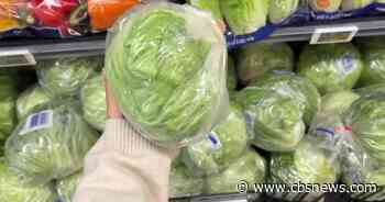 Cyclospora outbreak is affecting how and what Americans eat