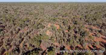 Five property carbon regeneration aggregation capitalises on nature