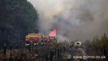 France wildfires live: Inferno is country's 'most difficult situation since WW2' - Macron