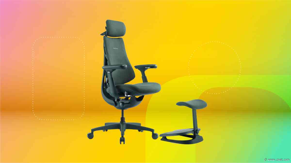 Give Your Lumbar Some Love With a LiberNovo Chair While They’re Down by up to 44%