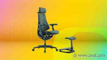 Give Your Lumbar Some Love With a LiberNovo Chair While They’re Down by up to 44%
