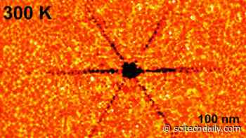 Quantum Heat Waves Spotted at Room Temperature for the First Time