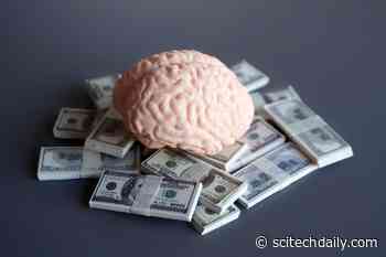 Long-Term Money Problems May Accelerate Brain Aging