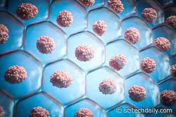 “Zombie Cells” Reveal a Hidden Weakness That Could Help Fight Aging