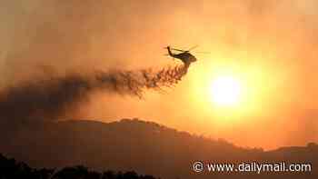Why Australia is being warned to brace for a bushfire nightmare this summer