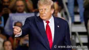 Moment Donald Trump is interrupted by heckler who shouts vile insult during Michigan rally... before president hits back