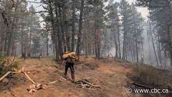 Firefighters from Yukon, Alberta coming to B.C. to aid in wildfire fight this week