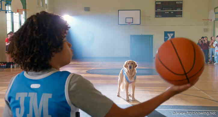 He's Back! First Teaser for 'Air Bud Returns' Basketball Doggo Movie