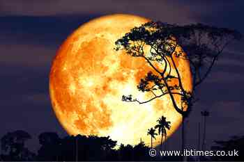 Full Buck Moon Rising: When To See July's Showpiece In The Night Sky – And What Legend Says It Does To Us