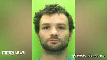 Man jailed after cannabis plants found in home