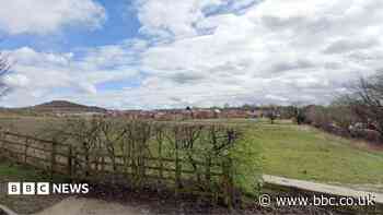 Plans for 60 homes lodged with council