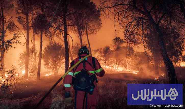 قبل موجة حرّ جديدة .. فرنسا وإسبانيا تسابقان الزمن لإخماد حرائق هائلة
