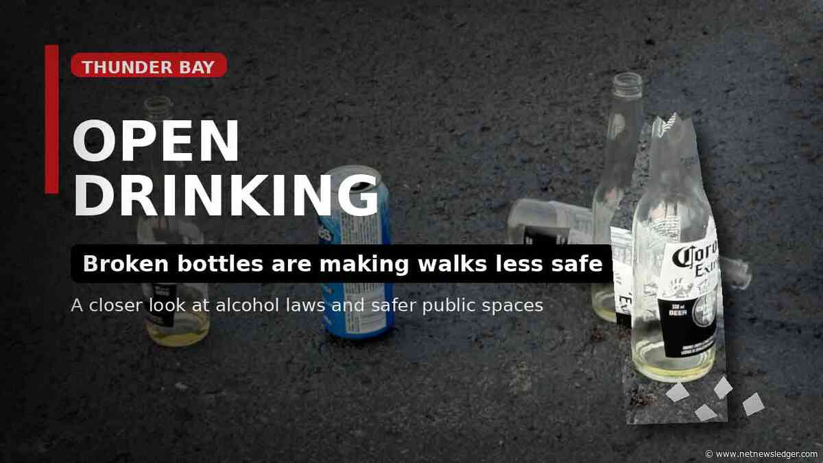 Walking Should Not Require Radar: A Practical Plan for Safer Thunder Bay Public Spaces