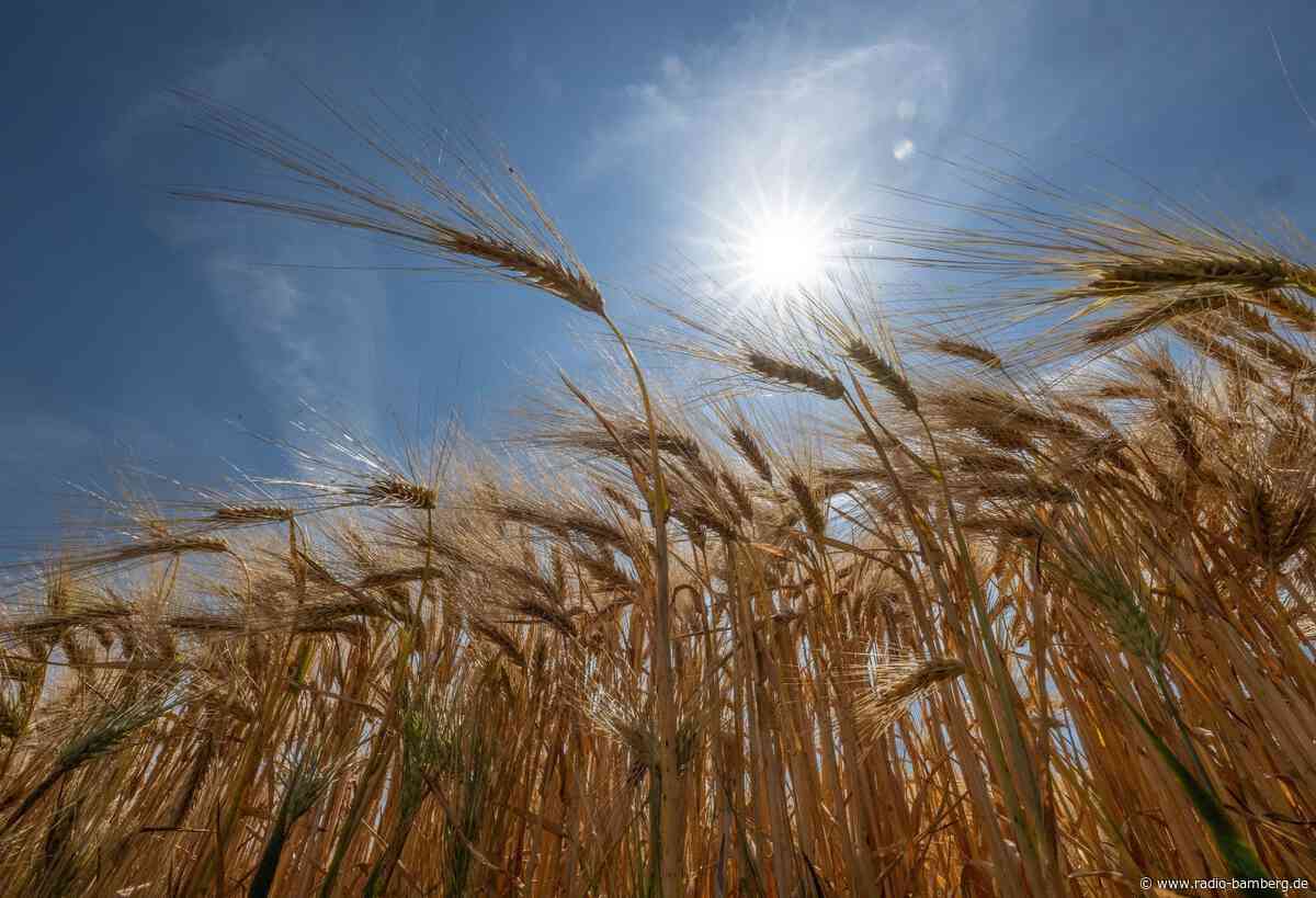 Start in die Hitzewelle – Temperaturen bis zu 33 Grad