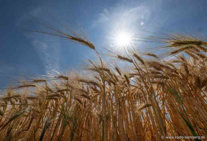 Start in die Hitzewelle – Temperaturen bis zu 33 Grad