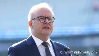Anthony Albanese unveils $4million plan for Australia's first new oil refinery since the 1960s